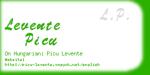 levente picu business card